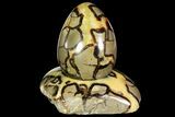 Polished Septarian Egg with Stand - Madagascar #118142-3